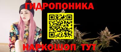 mdpv Партизанск